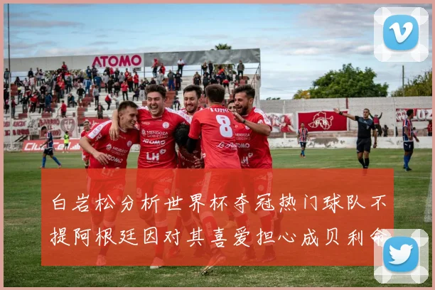 白岩松分析世界杯夺冠热门球队不提阿根廷因对其喜爱担心成贝利命运