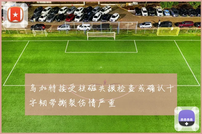乌加特接受核磁共振检查或确认十字韧带撕裂伤情严重