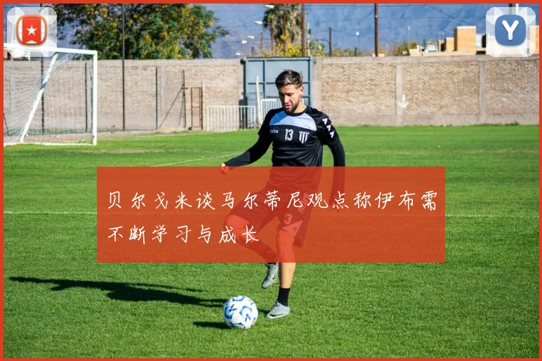 贝尔戈米谈马尔蒂尼观点称伊布需不断学习与成长